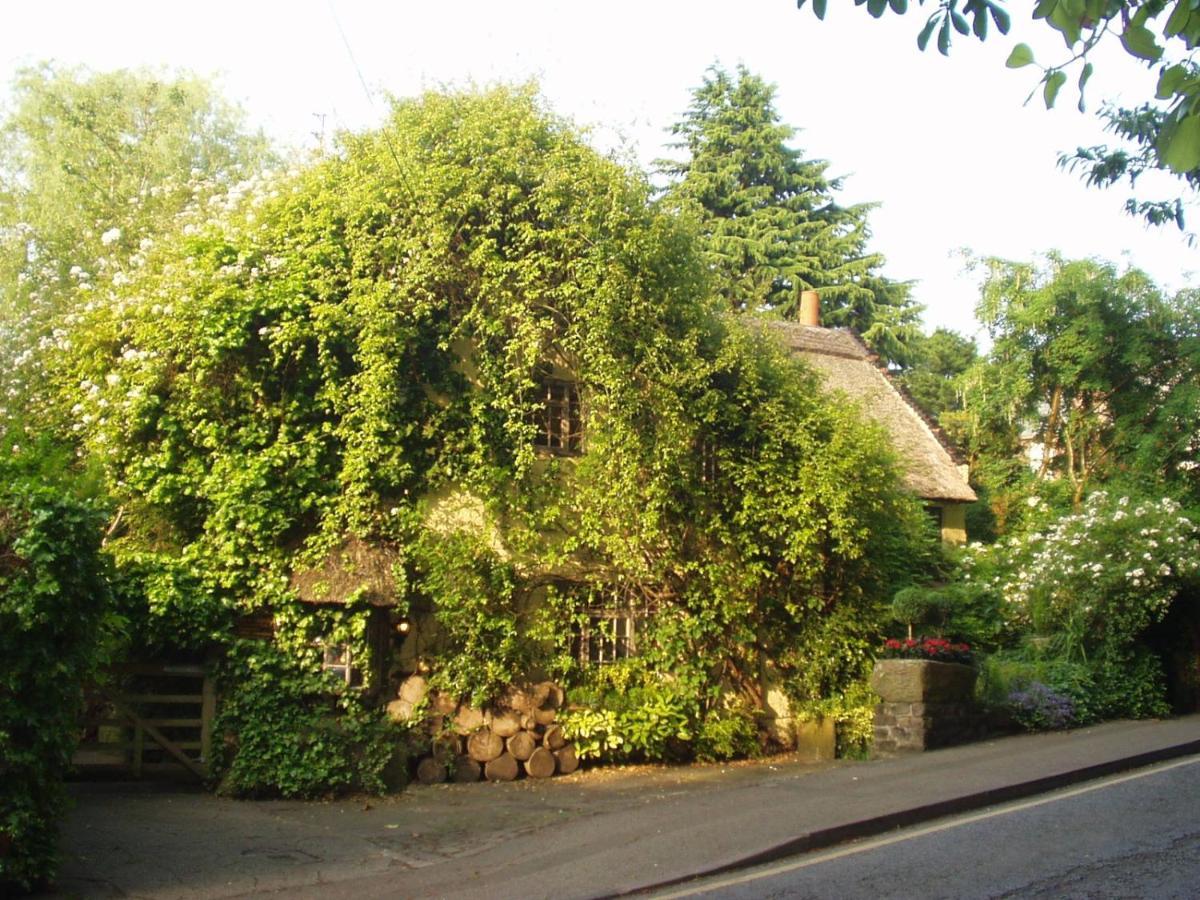 Wizards Thatch Luxury Suites อัลเดอร์ลีย์เอดจ์ ภายนอก รูปภาพ